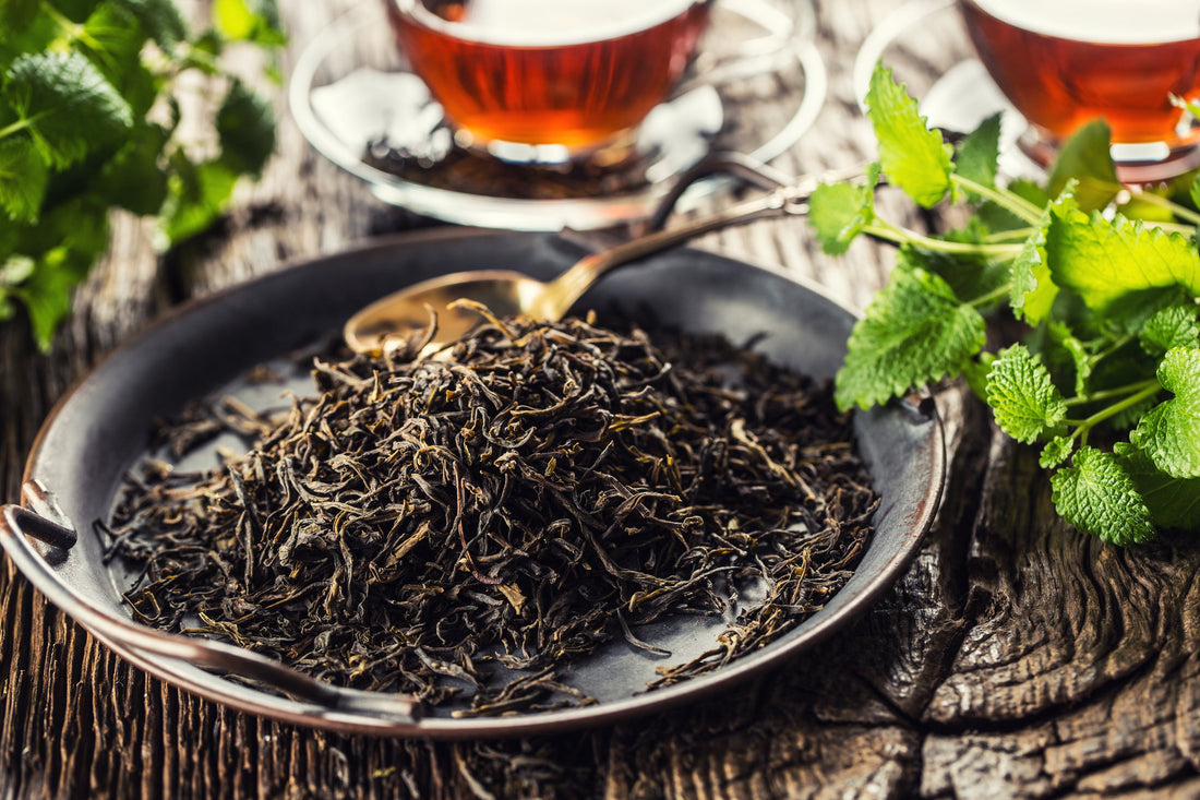 Der König der Tees: Darjeeling First Flush